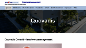 What Quovadis-consult.com website looked like in 2020 (3 years ago)