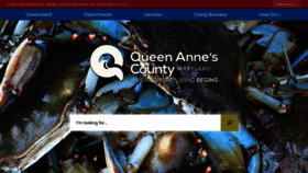 What Qac.org website looked like in 2023 (3 years ago)