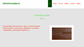 What Qsy123.com website looked like in 2023 (This year)