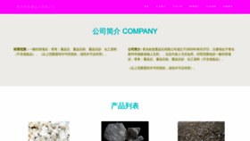 What Qinzeng0303.com website looked like in 2023 (This year)