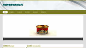 What Qihengyangzhi.com website looked like in 2023 (This year)