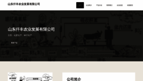 What Qianfengny.com website looked like in 2023 (This year)