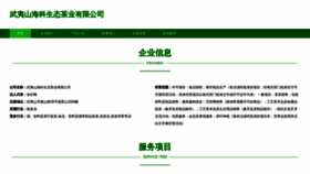 What Q3yq2.cn website looked like in 2023 (This year)