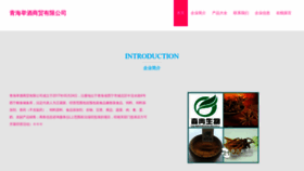 What Qhnine.cn website looked like in 2023 (This year)