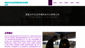 What Qackqi.cn website looked like in 2023 (This year)