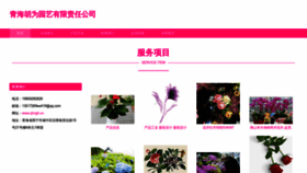 What Qhvgh.cn website looked like in 2023 (This year)