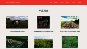 What Qoo4.cn website looked like in 2023 (This year)