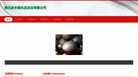 What Qwzehsrl.cn website looked like in 2023 (This year)