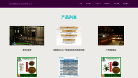 What Qdpinmei.com website looks like in 2024 