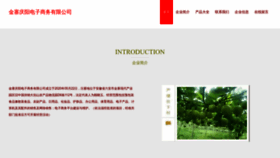 What Qingyangdianzi.top website looks like in 2024 