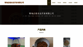 What Qhkpu.cn website looks like in 2024 
