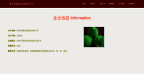 What Qdxiangkang.com website looks like in 2024 
