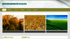 What Qldzsww.cn website looks like in 2024 