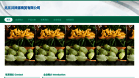 What Qwimuyo.cn website looks like in 2024 