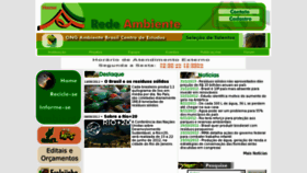 What Redeambiente.org.br website looked like in 2013 (11 years ago)