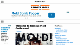 What Removemoldguide.com website looked like in 2015 (9 years ago)