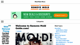 What Removemoldguide.com website looked like in 2015 (8 years ago)