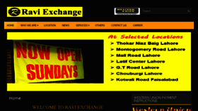 What Raviexchange.com website looked like in 2015 (8 years ago)