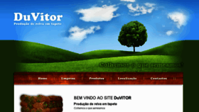 What Relvaduvitor.pt website looked like in 2015 (8 years ago)