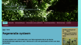 What Regensy.nl website looked like in 2016 (7 years ago)