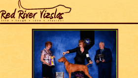 What Redrivervizslas.com website looked like in 2016 (7 years ago)