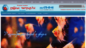 What Ruaq.ru website looked like in 2016 (9 years ago)