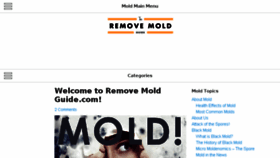 What Removemoldguide.com website looked like in 2016 (7 years ago)