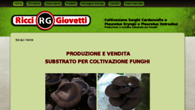 What Ricci-giovetti.it website looked like in 2017 (8 years ago)