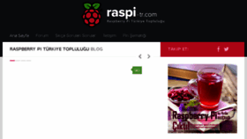 What Raspi-tr.com website looked like in 2017 (6 years ago)