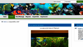 What Reefitalia.net website looked like in 2017 (6 years ago)