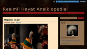 What Resimlihayatansiklopedisi.com website looked like in 2017 (6 years ago)