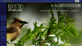 What Radfordva.gov website looked like in 2017 (6 years ago)