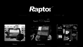 What Raptorpos.com website looked like in 2017 (6 years ago)