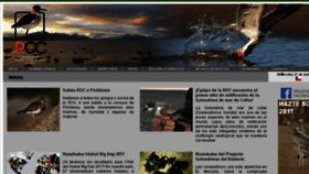 What Redobservadores.cl website looked like in 2017 (8 years ago)
