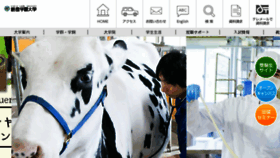 What Rakuno.ac.jp website looked like in 2017 (8 years ago)