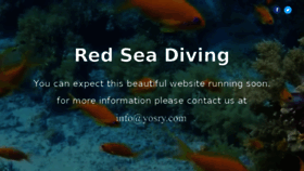 What Redseadiving.com website looked like in 2017 (6 years ago)