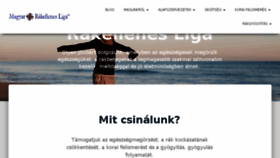 What Rakliga.hu website looked like in 2017 (6 years ago)