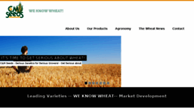 What Redwheat.com website looked like in 2017 (6 years ago)