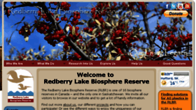 What Redberrylake.ca website looked like in 2017 (6 years ago)