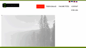 What Reinpaul.ee website looked like in 2017 (6 years ago)