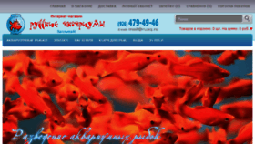 What Ruaq.ru website looked like in 2017 (8 years ago)