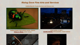 What Risingdove.com website looked like in 2017 (6 years ago)