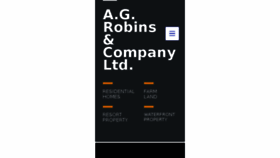 What Robinsrealestate.com website looked like in 2017 (6 years ago)