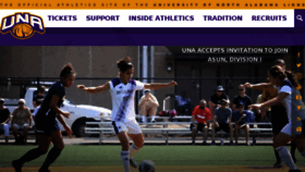 What Roarlions.com website looked like in 2017 (6 years ago)