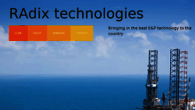 What Radixtechnologies.co.in website looked like in 2017 (6 years ago)