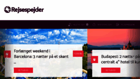 What Rejsespejder.dk website looked like in 2017 (6 years ago)