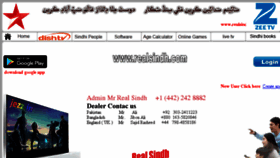 What Realsindh.com website looked like in 2018 (6 years ago)