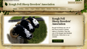 What Roughfellsheep.com website looked like in 2018 (6 years ago)