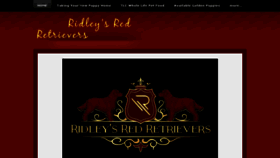 What Ridleysredretrievers.com website looked like in 2018 (6 years ago)
