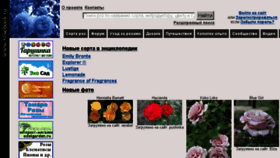 What Rosebook.ru website looked like in 2018 (8 years ago)